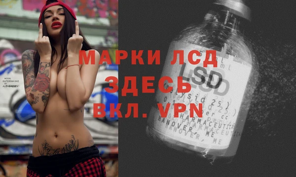 шишки Алексин