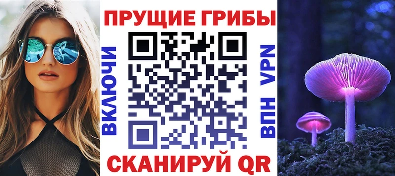 ОМГ ОМГ как войти  купить   Лабинск  Псилоцибиновые грибы прущие грибы 