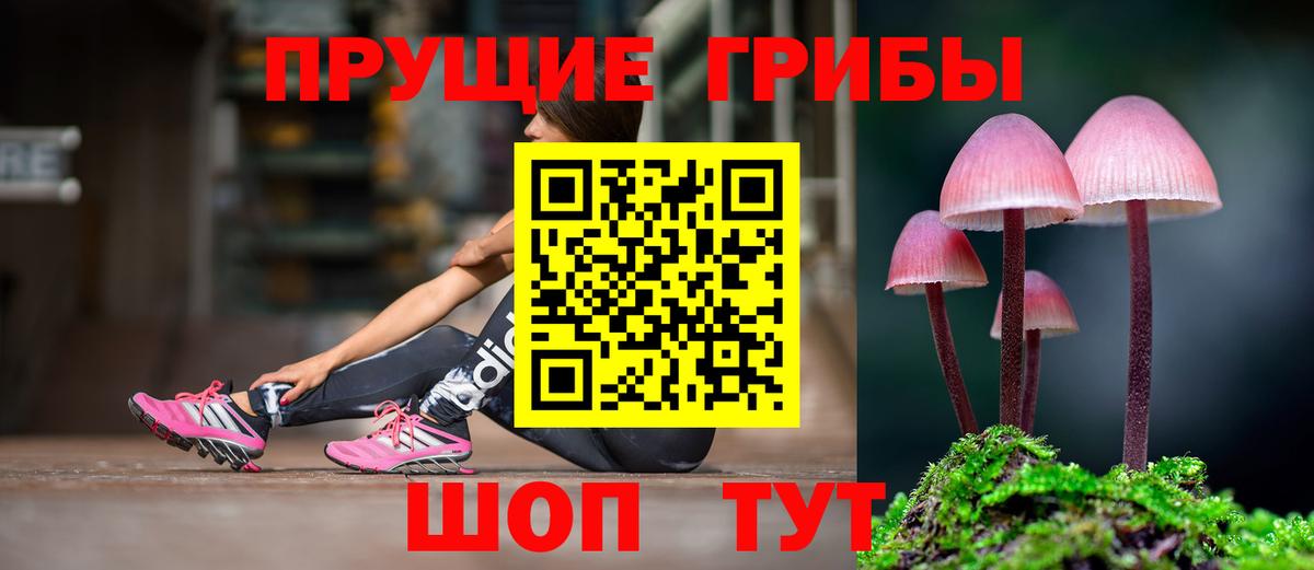 Псилоцибиновые грибы прущие грибы  закладка  Лабинск  Вход с VPN 